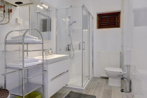 a bathroom with a shower and a sink and a toilet at Villa Mima in Banjole