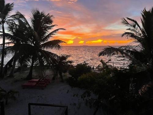 a sunset on a beach with palm trees and the ocean at Castaway Blue Hole Long Caye in Belize City