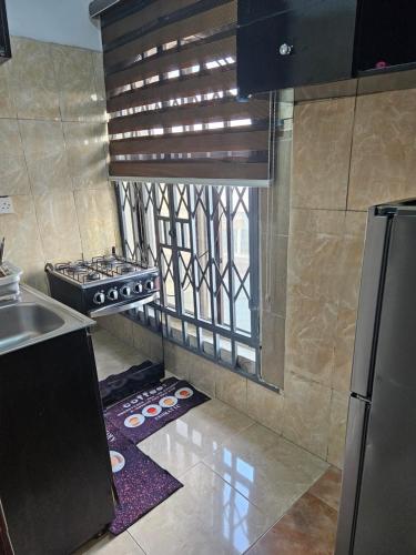 Kuchyň nebo kuchyňský kout v ubytování Pearl Homes