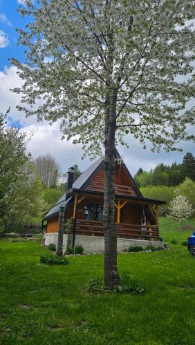 Taman di luar Planinska brvnara