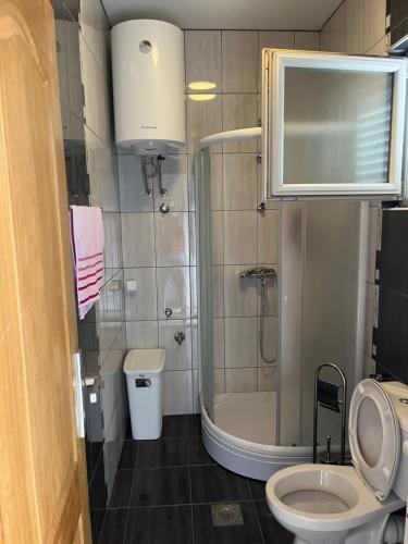 a small bathroom with a toilet and a shower at Apartman Iskra in Bijela