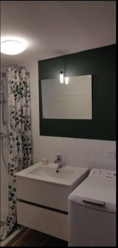 une salle de bain avec un lavabo et un rideau de douche dans l'établissement La Datcha d Elvira - Maison de campagne au vert, à Levroux
