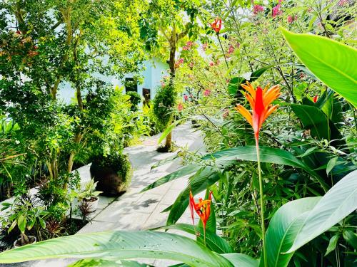 a path through a garden with flowers and plants at Sunlight Bungalow in Phu Quoc