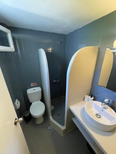 a small bathroom with a toilet and a sink at Spanos Apartments - Panteli in Panteli