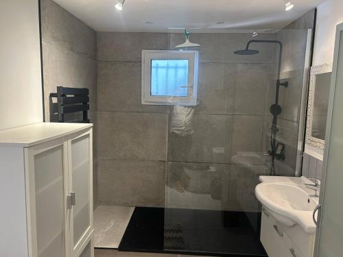 une salle de bain avec douche et lavabo dans l'établissement Mini Villa - Corse du Sud, à Lecci