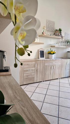 a kitchen with a counter with a flower on it at Dimora Sole del Sud in Ugento