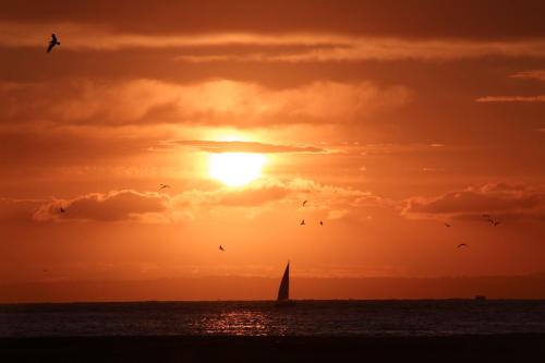 a sail boat in the ocean with a sunset at Stabiae Suite Sorrento Coast Suites in Castellammare di Stabia