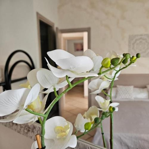 a vase filled with white flowers in a room at Dimora Sole del Sud in Ugento