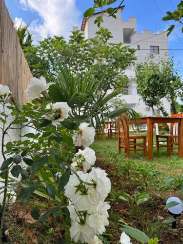 Central Garden Sofia 1- Free Parking