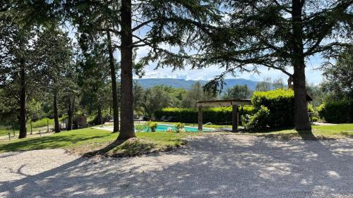 a park with trees and a swimming pool at Poggio Cantarello Country Home - Tuscany in Chiusi