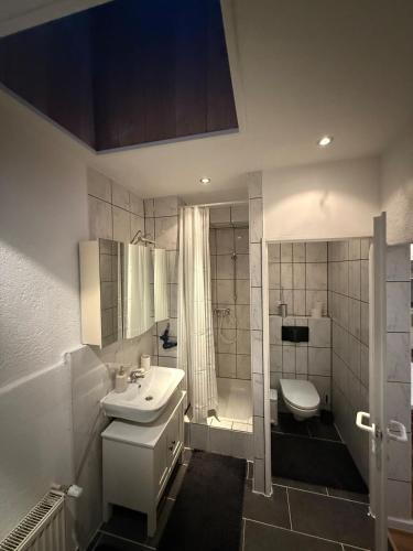 a bathroom with a sink and a shower and a toilet at Apartment Bad Nauheim central in Bad Nauheim