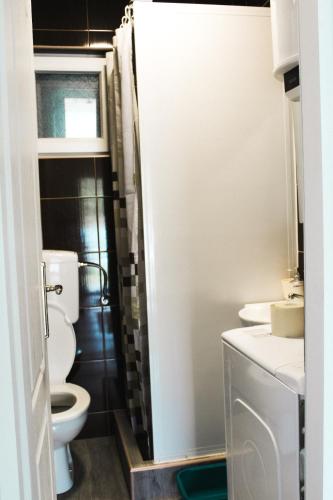 a bathroom with a toilet and a sink at Drina River Retreat in Novo Selo
