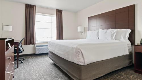Postel nebo postele na pokoji v ubytování Cobblestone Inn & Suites - Julesburg