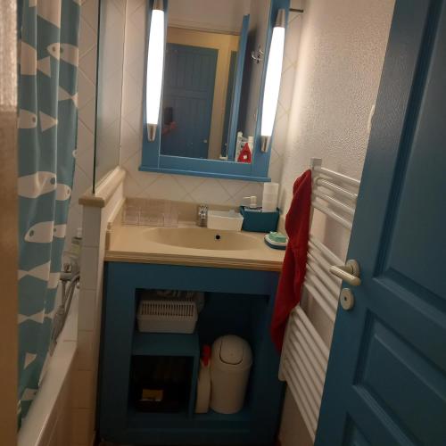 une petite salle de bain avec un lavabo et un miroir dans l'établissement T2 32m2 terrasse 8m2 PISCINE LACANAU OCEAN LAC GOLF MULTISPORT, à Lacanau-Océan
