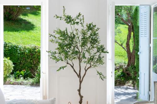 Garden-Level Apartment in Bourgeois Residence Near Croisette & Beaches
