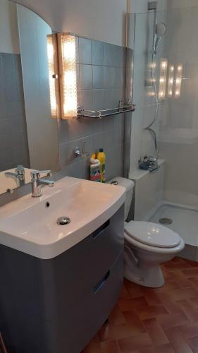 une salle de bain avec un lavabo, des toilettes et un miroir dans l'établissement Studio a la campagne, à Châteauneuf-du-Pape