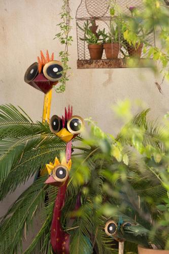 a plant with three birds on top of it at La Maison des Augustins 4 stars Spa et Fitness in Avignon