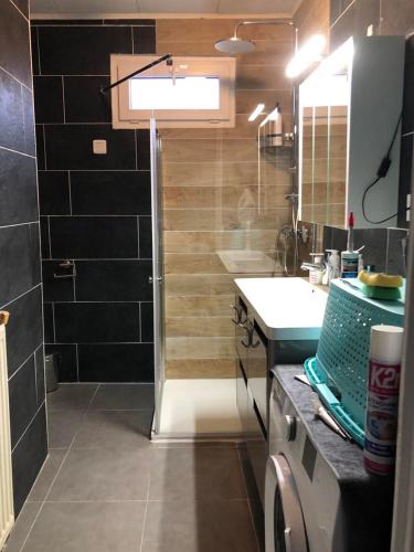 une salle de bain avec douche et lavabo dans l'établissement Maison de ville meublée 60m2, à Saint Etienne