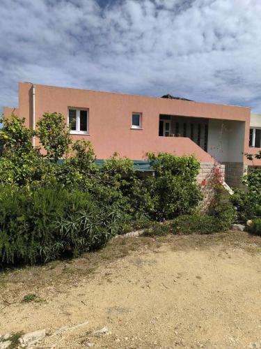 Cozy Apartments Žute, island of Korčula