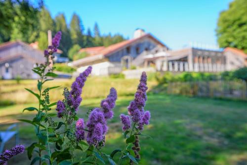 Auberge De La Poulcière