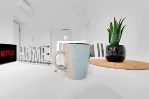 CRE9 -Loreto - Duomo- Central - Modern -