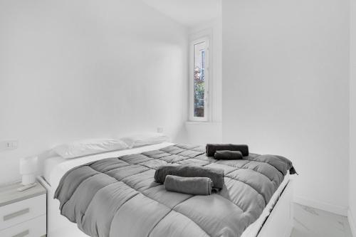 CRE9 -Loreto - Duomo- Central - Modern -