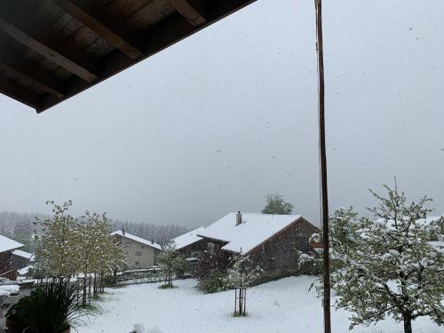 a house with snow on the roof of it at Alpine feeling & lakeside in Kienholz