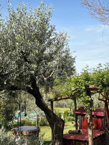 Κήπος έξω από το LA CAPANNA Casale in pietra con piscina