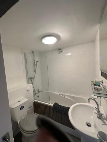 a bathroom with a tub and a toilet and a sink at Norwood House in Newport
