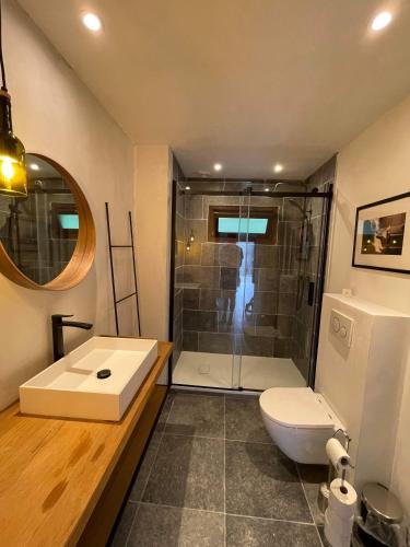 a bathroom with a shower and a toilet and a sink at Charme de Fays in Harre
