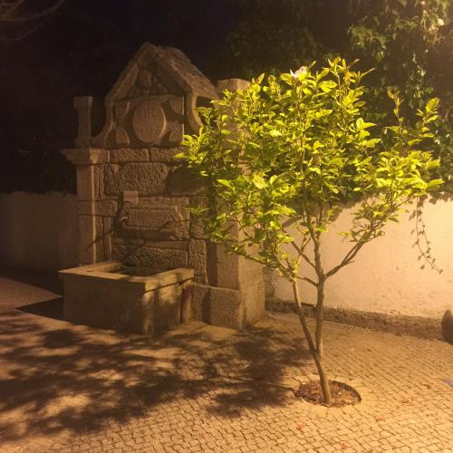 a small tree in front of a stone structure at Casas do Terreiro in Seia