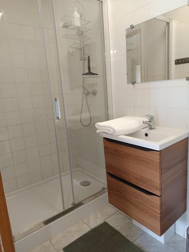 une salle de bain avec une douche et un lavabo et une douche dans l'établissement Studio équipé, proche aéroport, à Bouguenais
