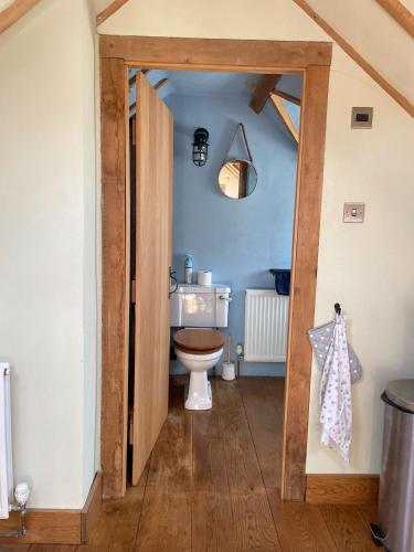 a bathroom with a toilet and a blue wall at The stable near the business park tube Harry Potter airports in Croxley Green