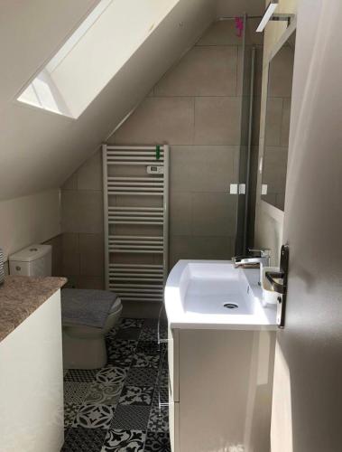 une salle de bain avec un lavabo et des toilettes dans l'établissement Chambres d'hotes Joséphine 2 ou 4 voyageurs, à Attin