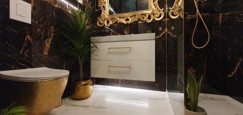 a bathroom with a toilet and a mirror at Diamond class 2 Hanza Tower in Szczecin