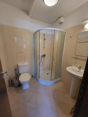 a bathroom with a shower and a toilet and a sink at Balkan Aparts in Hisarya