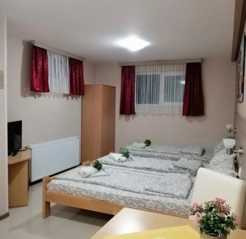 KONAK ViLA MIRKOVIĆにあるベッド