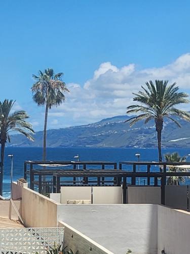 Blick auf das Meer und die Palmen in der Unterkunft Martianez Luxury vista Tenerife in Puerto de la Cruz