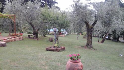 a park with trees and a vase with flowers in it at Penelope in Marliana
