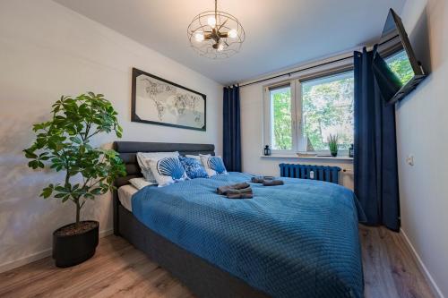 Hello Apartments Blue Mazurska 180 m do plaży