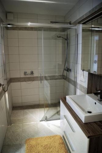 a bathroom with a shower and a sink at Ferienwohnung In Der Nähe Von Wien in Sankt Andrä vor dem Hagenthale