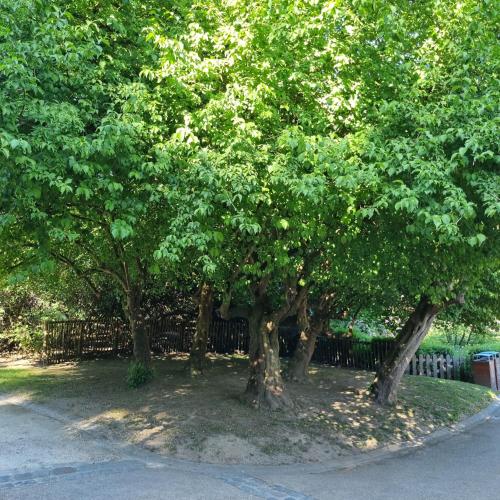 a group of trees in front of a fence at Chinese Pavilion Park - Magnificent Apartment Brussels in Brussels