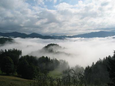 a view of a foggy valley with trees and clouds at Ferienwohnung Högerblick In Türnitz in Türnitz