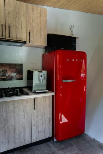 Dapur atau dapur kecil di Cabanele Împărăția Mlacilor Câmpulung Muscel