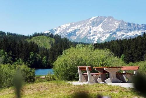 two picnic tables in a field with a mountain at Gartenblick in Türnitz