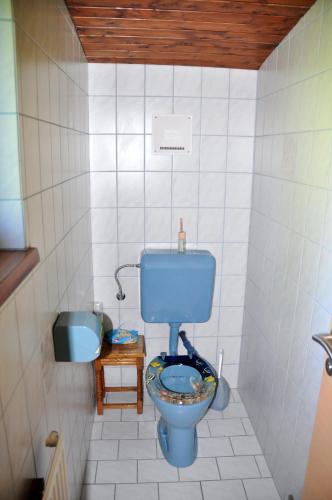 a bathroom with a blue toilet in a room at Gartenblick in Türnitz