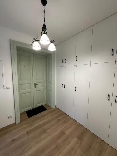 チェスケー・ブジェヨヴィツェにあるVila Fráňa apartmán 1の白いキャビネットとドアが備わる空間