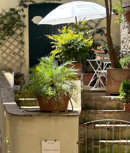 Zahrada ubytování Il balconcino di Riamori