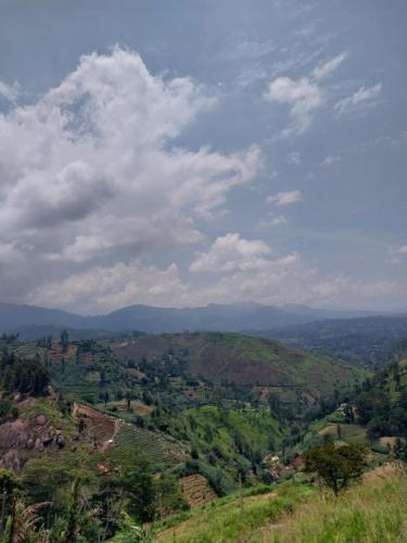 a view of auliculiculiculiculiculiculiculiculiculiculiculic at Hakgala Mount Paradise in Nuwara Eliya