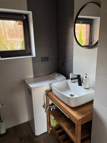 a bathroom with a sink and a mirror at Pod Roztoczańskim Niebem in Wólka Wieprzecka